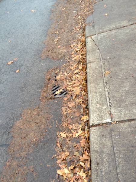 Leaf mush